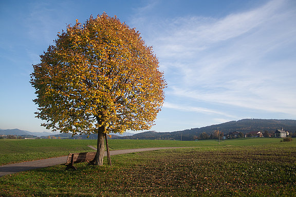 IMG_8297.jpg  